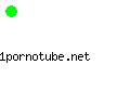 1pornotube.net