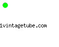 1vintagetube.com