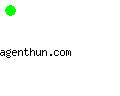 agenthun.com