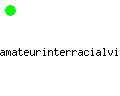 amateurinterracialvideos.net