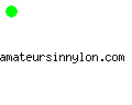 amateursinnylon.com