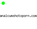 analcumshotsporn.com