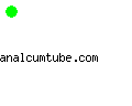 analcumtube.com