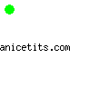 anicetits.com