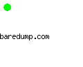 baredump.com