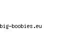 big-boobies.eu