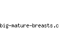 big-mature-breasts.com