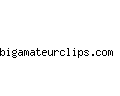 bigamateurclips.com