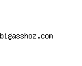 bigasshoz.com