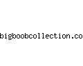 bigboobcollection.com
