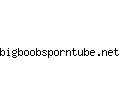 bigboobsporntube.net