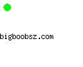 bigboobsz.com