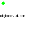 bigboobvid.com