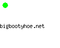 bigbootyhoe.net