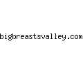 bigbreastsvalley.com