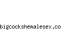 bigcockshemalesex.com