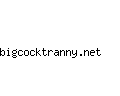 bigcocktranny.net