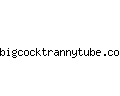 bigcocktrannytube.com