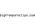 bigfreepornclips.com