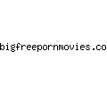 bigfreepornmovies.com