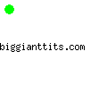 biggianttits.com