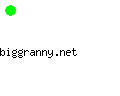 biggranny.net