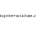 biginterracialtube.com