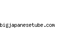 bigjapanesetube.com