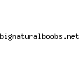 bignaturalboobs.net