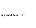 bigswallow.net