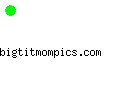 bigtitmompics.com