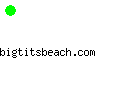 bigtitsbeach.com