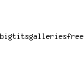 bigtitsgalleriesfree.biz