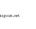 bigvids.net