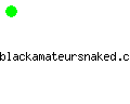 blackamateursnaked.com