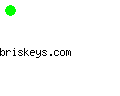 briskeys.com