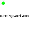 burningcamel.com