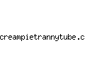 creampietrannytube.com