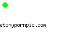 ebonypornpic.com