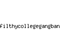 filthycollegegangbangs.com