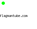 flagmantube.com