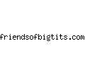 friendsofbigtits.com