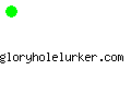 gloryholelurker.com
