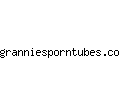 granniesporntubes.com