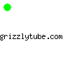 grizzlytube.com