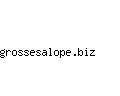 grossesalope.biz