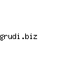 grudi.biz