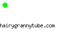 hairygrannytube.com