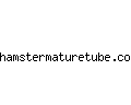 hamstermaturetube.com
