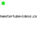 hamstertubevideos.com